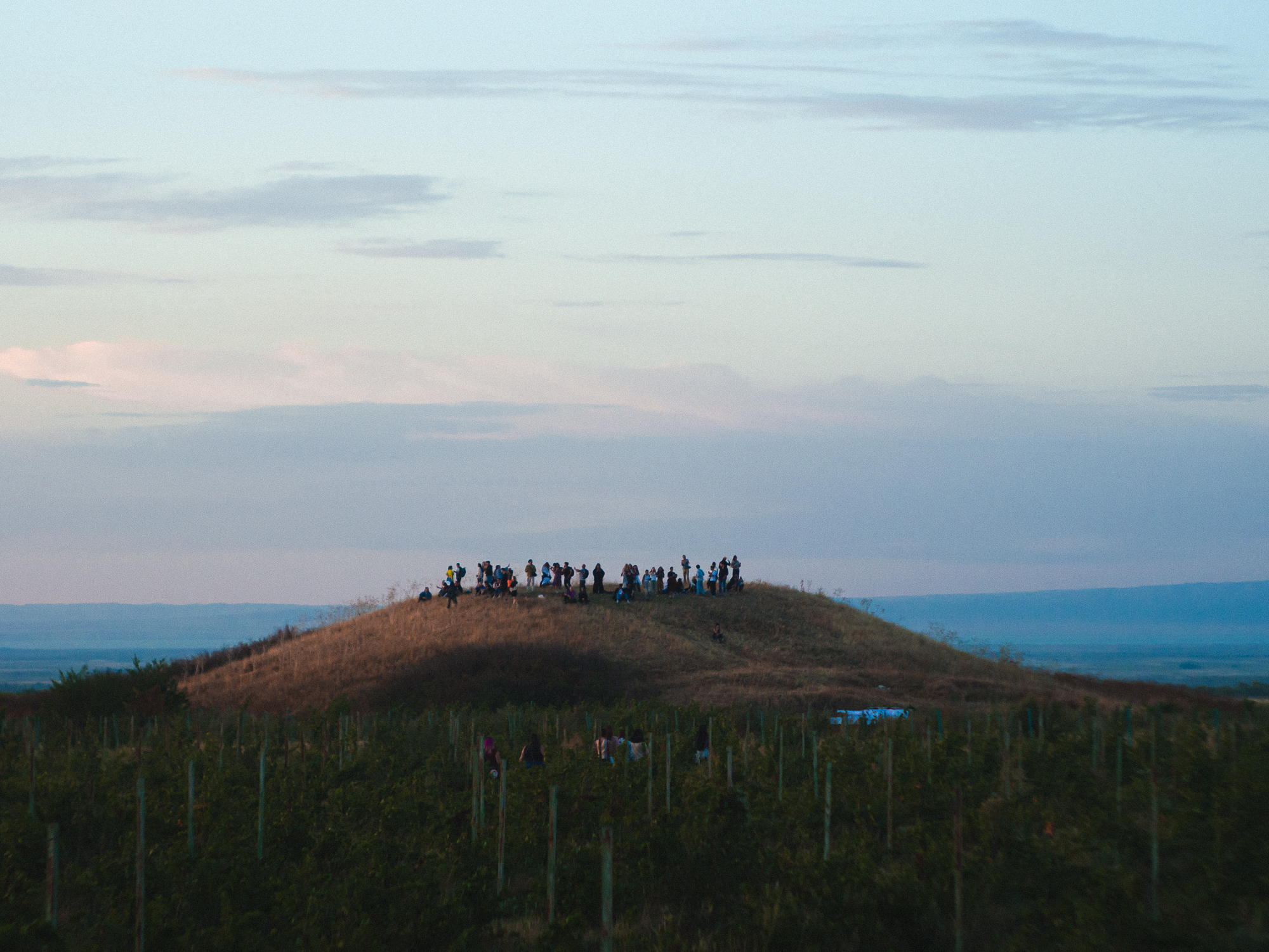 Closer Music Festival